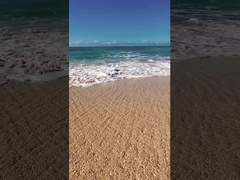 TANK ETV SNOWMOBILE ATV